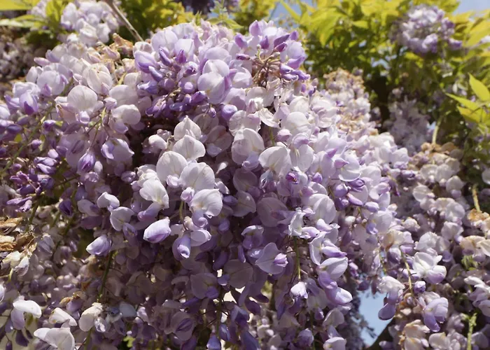 Hidden Well * Bristol