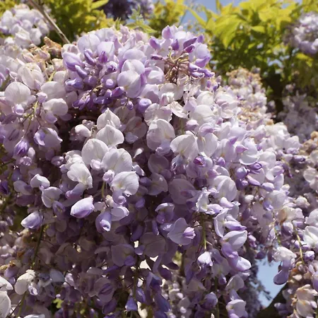 Hidden Well * Bristol