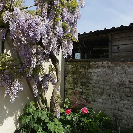 Hidden Well Ferienhaus