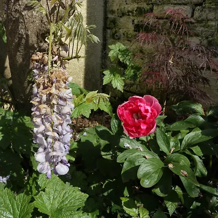 בית נופש Hidden Well